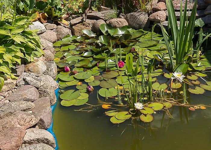 Charbrowski Mlyn Pansiyon Wicko (Pomerania)